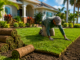 CDS best time to lay sod in Florida.