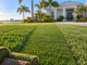 Three grass textures and rolls of sod in front of a Florida home with palm trees